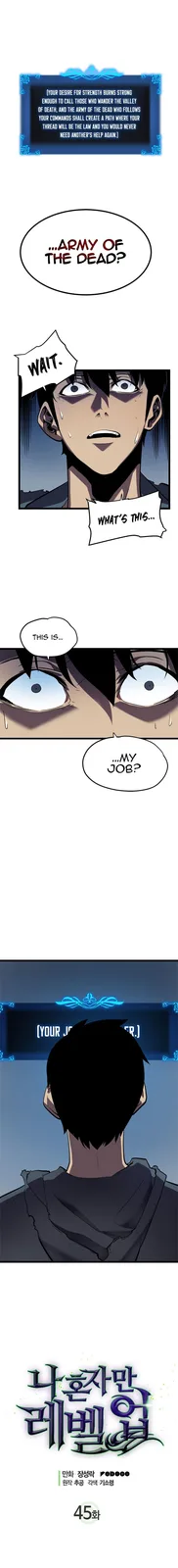 Chapter 45